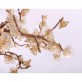 DV3953 Almond